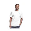 Champion Script Ls Tee Boys Active Shirts & Tees Color: White/Blue  100% Authentic