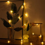 13Ft Diamond Chinese Cabbage  LED  String Lights  20 LED  Animal Shape Lights Battery Operated with 2 Modes Indoor Decorations