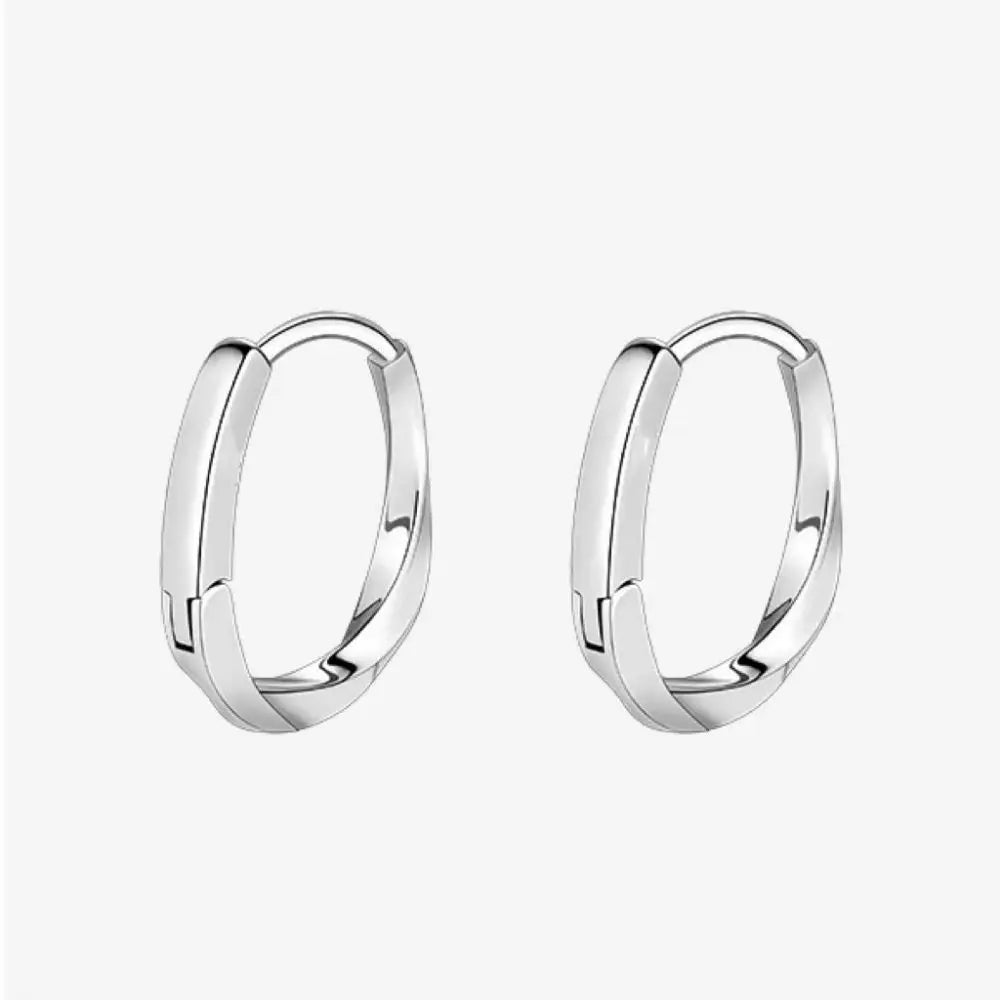 New Hot Sell Trendy Plated Gold Color Circle Earrings for Women Ear Hoop Earring Classic Jewelry