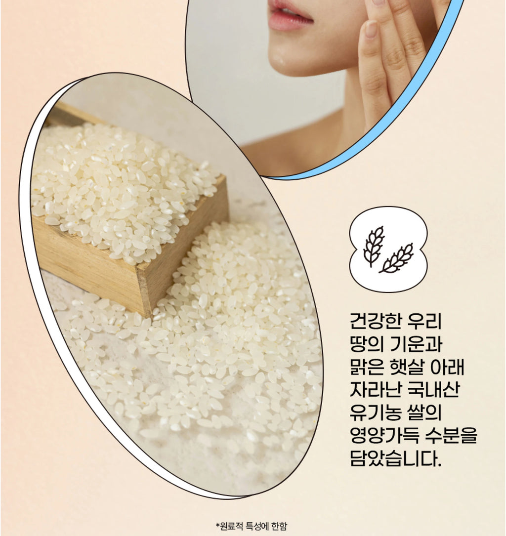 SPF50+ Beauty of Joseon Sunscreen Korean Rice Probiotic Solar Blocker Skin Cream Anti UV Sun Block Facial Mild Moisturizer 50ml