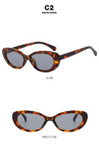 New Retro Oval Cat Eye Sunglasses for Women Men Y2k Trendy Narrow Small Sunnies 90s Brand Designer Sun Glasses UV400