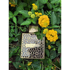 100ML Unisex Perfume Eau De Parfum Long Lasting Warm Sweet Woody Smooth Elegant Rich Premium Oriental Fragrance Two Styles