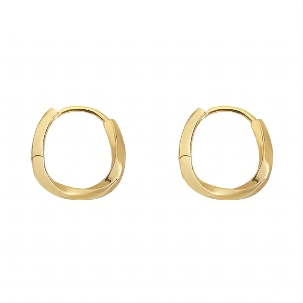 New Hot Sell Trendy Plated Gold Color Circle Earrings for Women Ear Hoop Earring Classic Jewelry